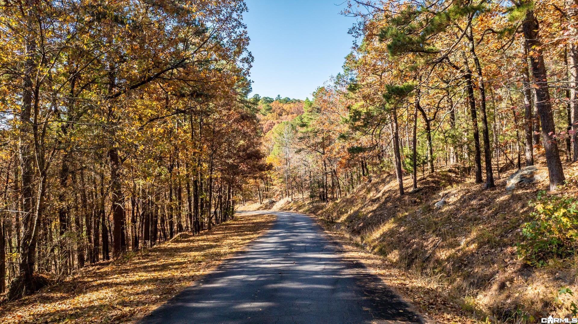 TBD Old Arkansas Drive