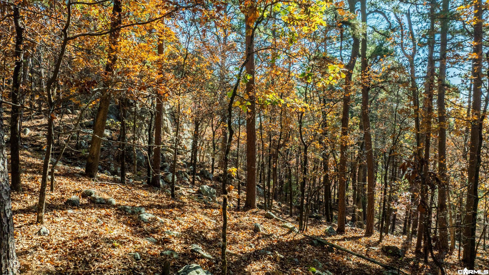 TBD Old Arkansas Drive
