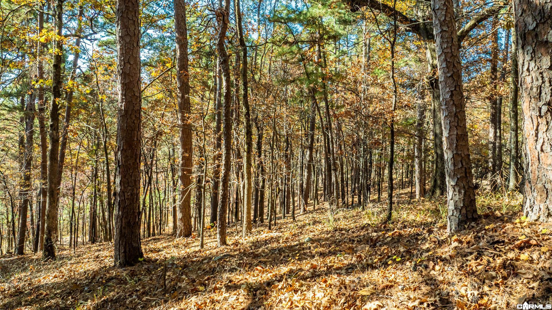 TBD Old Arkansas Drive