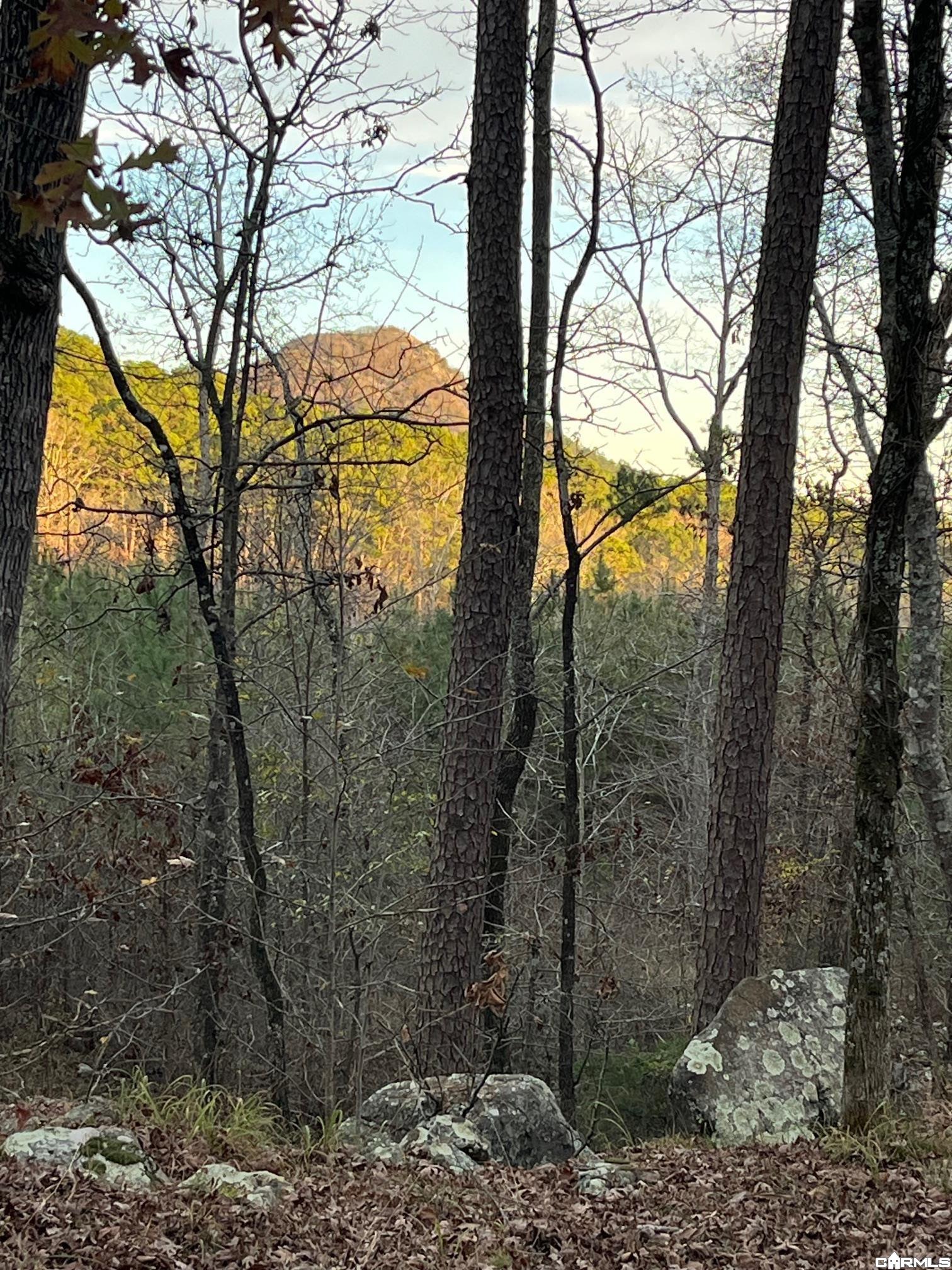 TBD Old Arkansas Drive