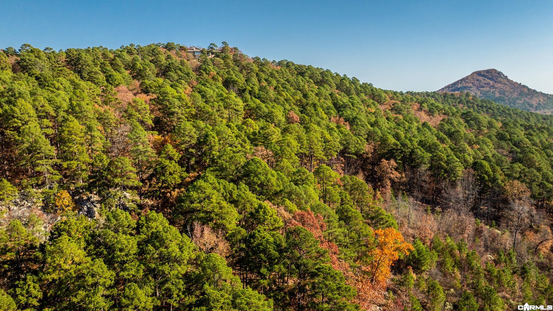 TBD Old Arkansas Drive
