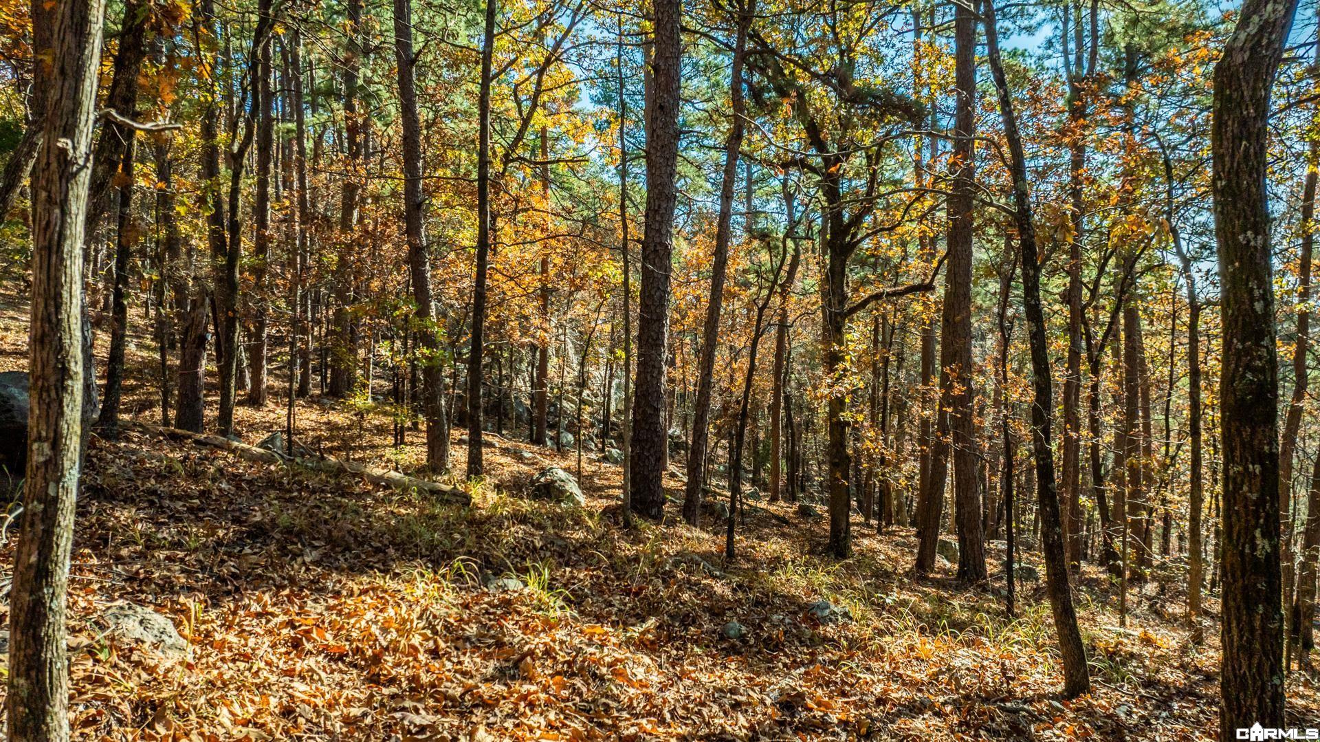 TBD Old Arkansas Drive