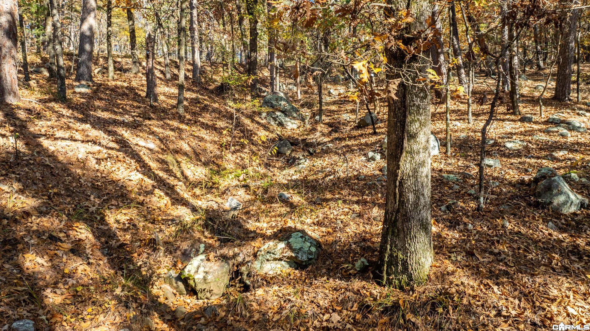 TBD Old Arkansas Drive