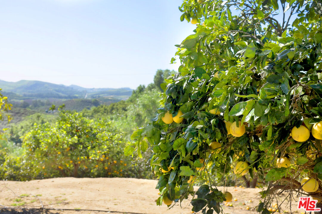 8018 Balcom Canyon Rd