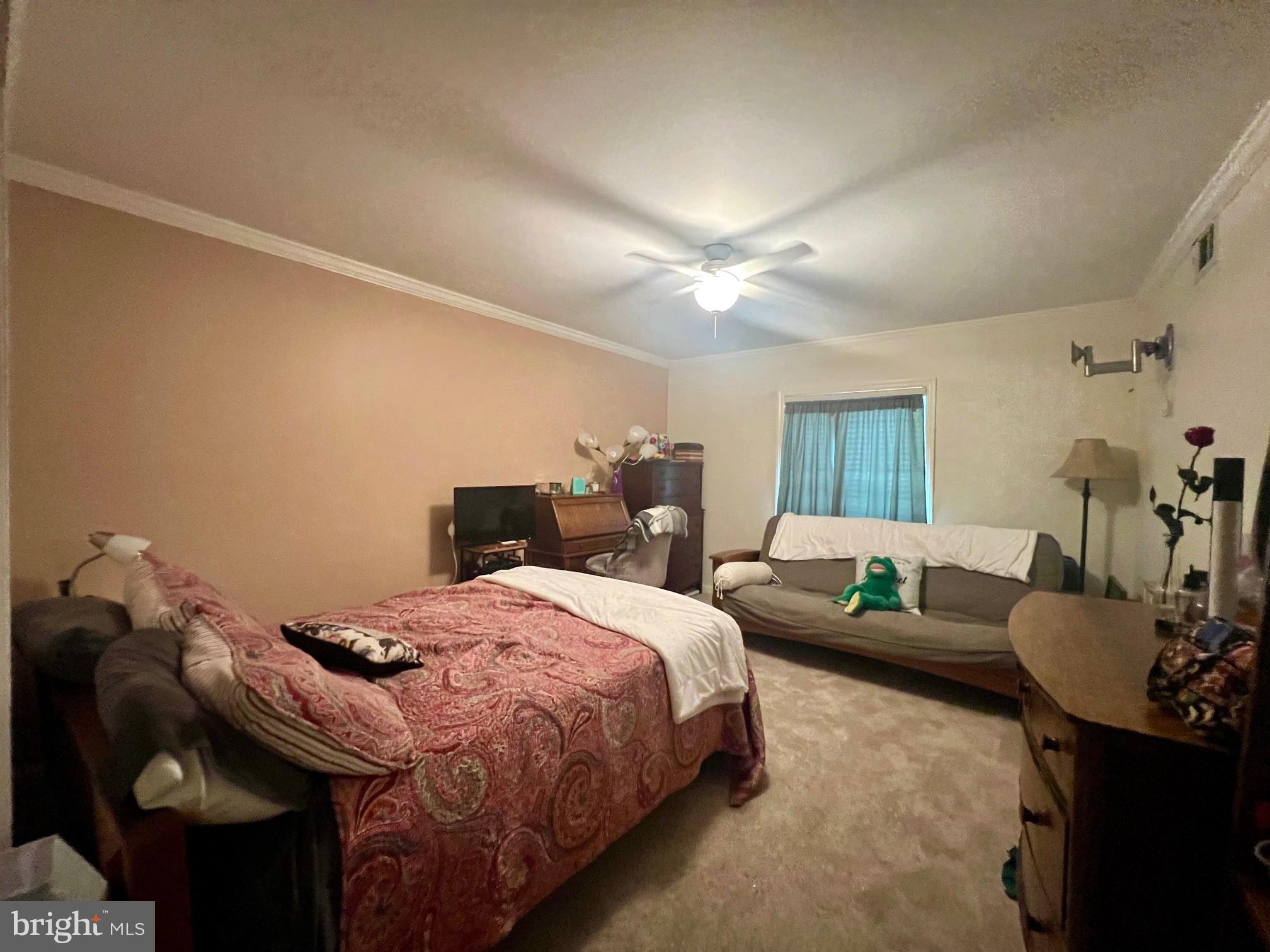 7 ROCKFORD ROAD J15