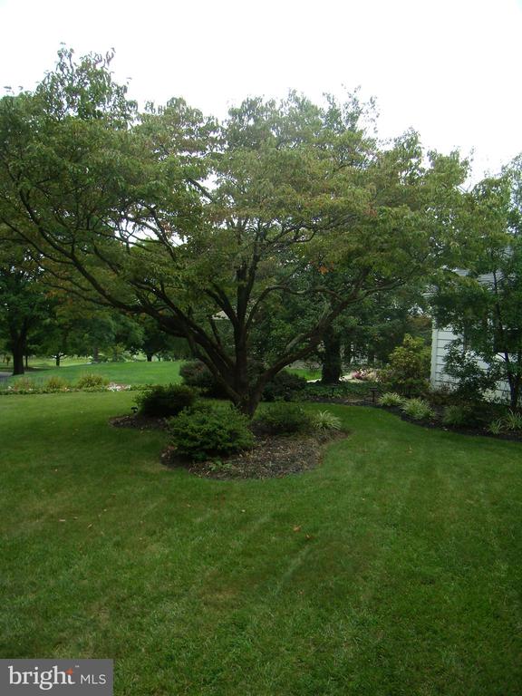 305 CORNWALL ROAD
