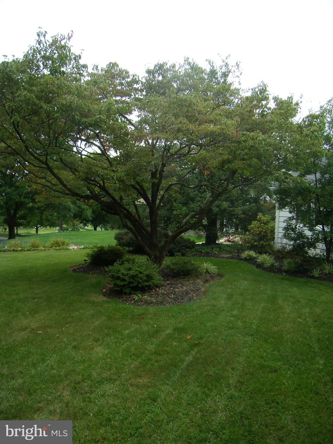 305 CORNWALL ROAD