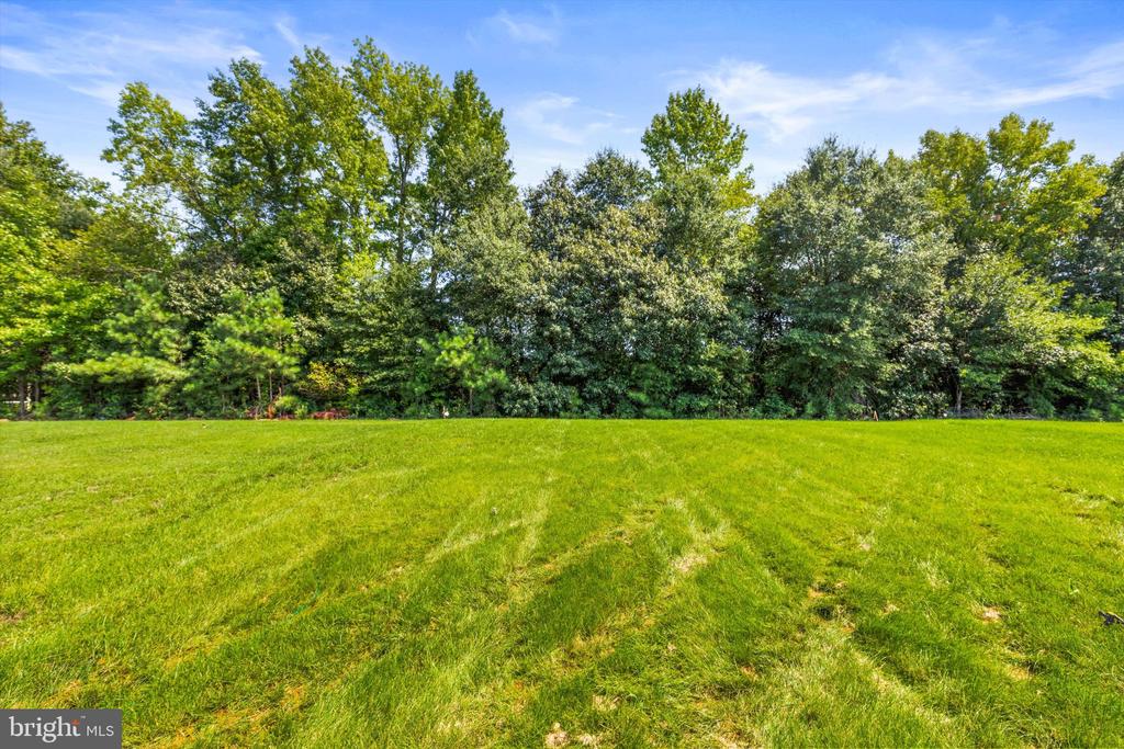 38551 WINTERBERRY DRIVE