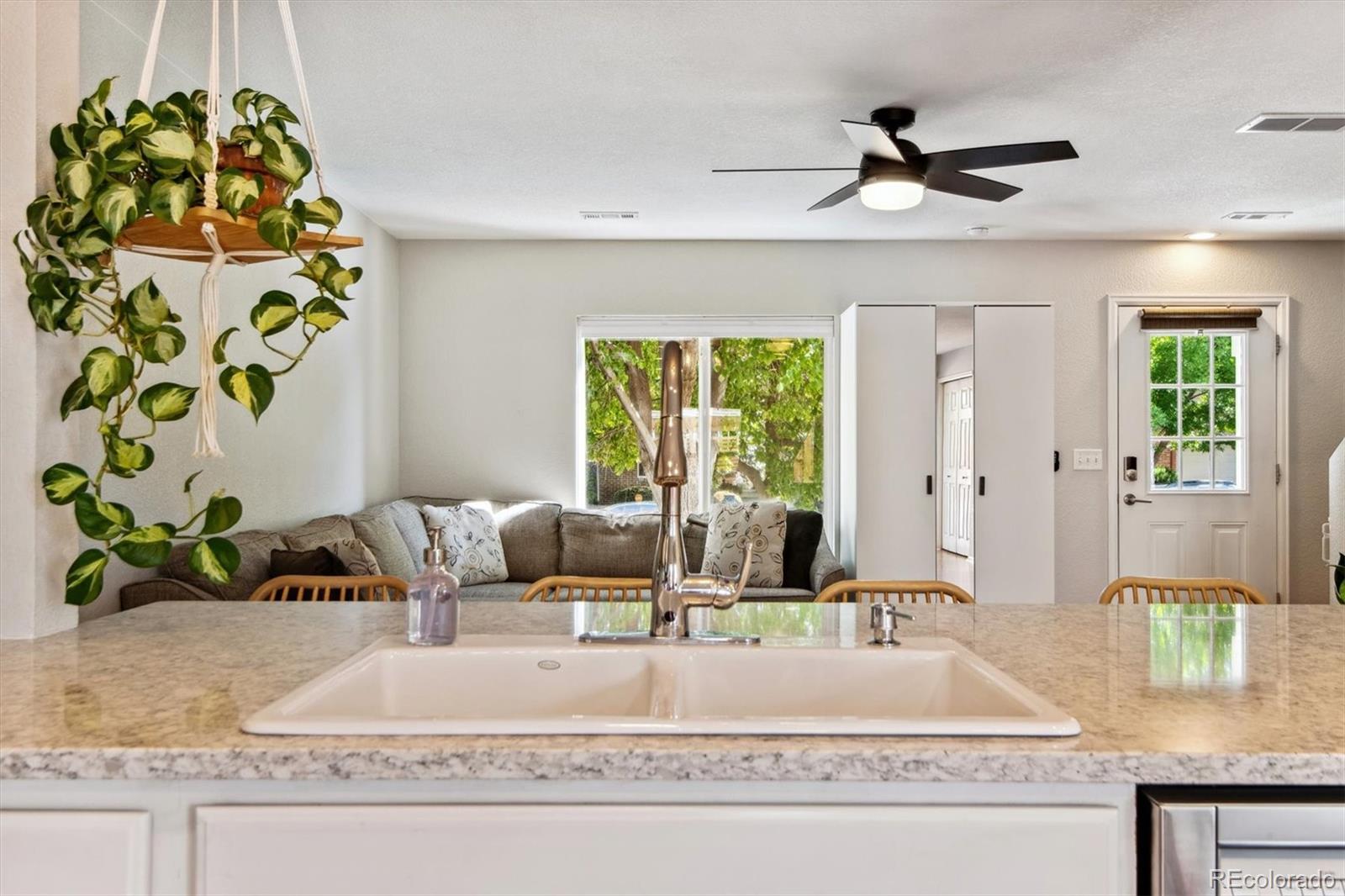 3567 Dexter Court