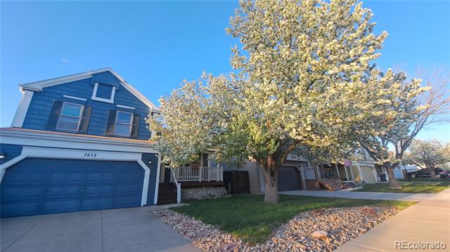 7672 Elmwood Street