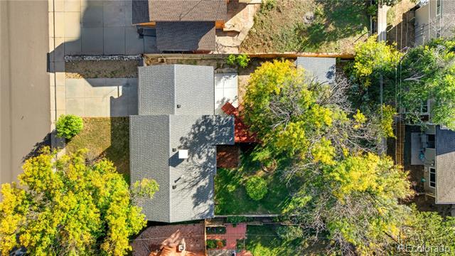 1239 Dearborn Street