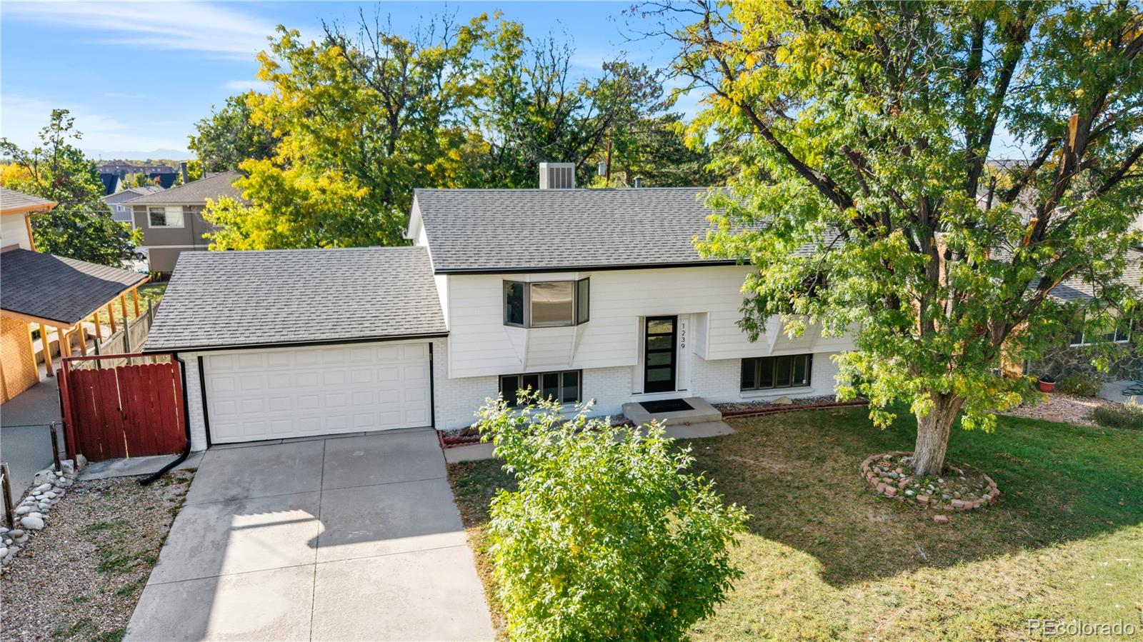 1239 Dearborn Street