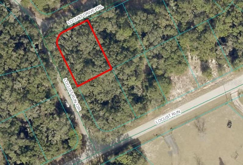 TBD LOCUST DRIVE TRL