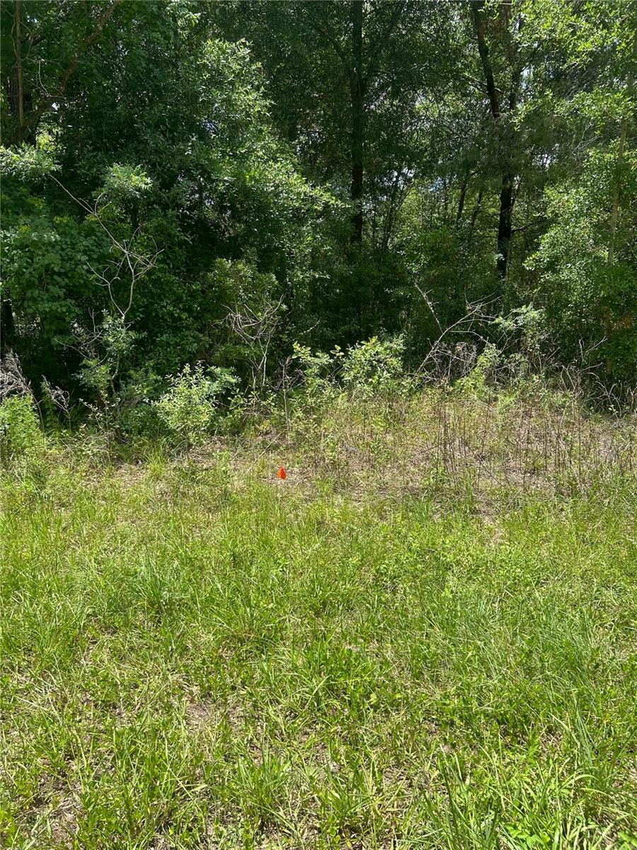 7654 N UDAL DR
