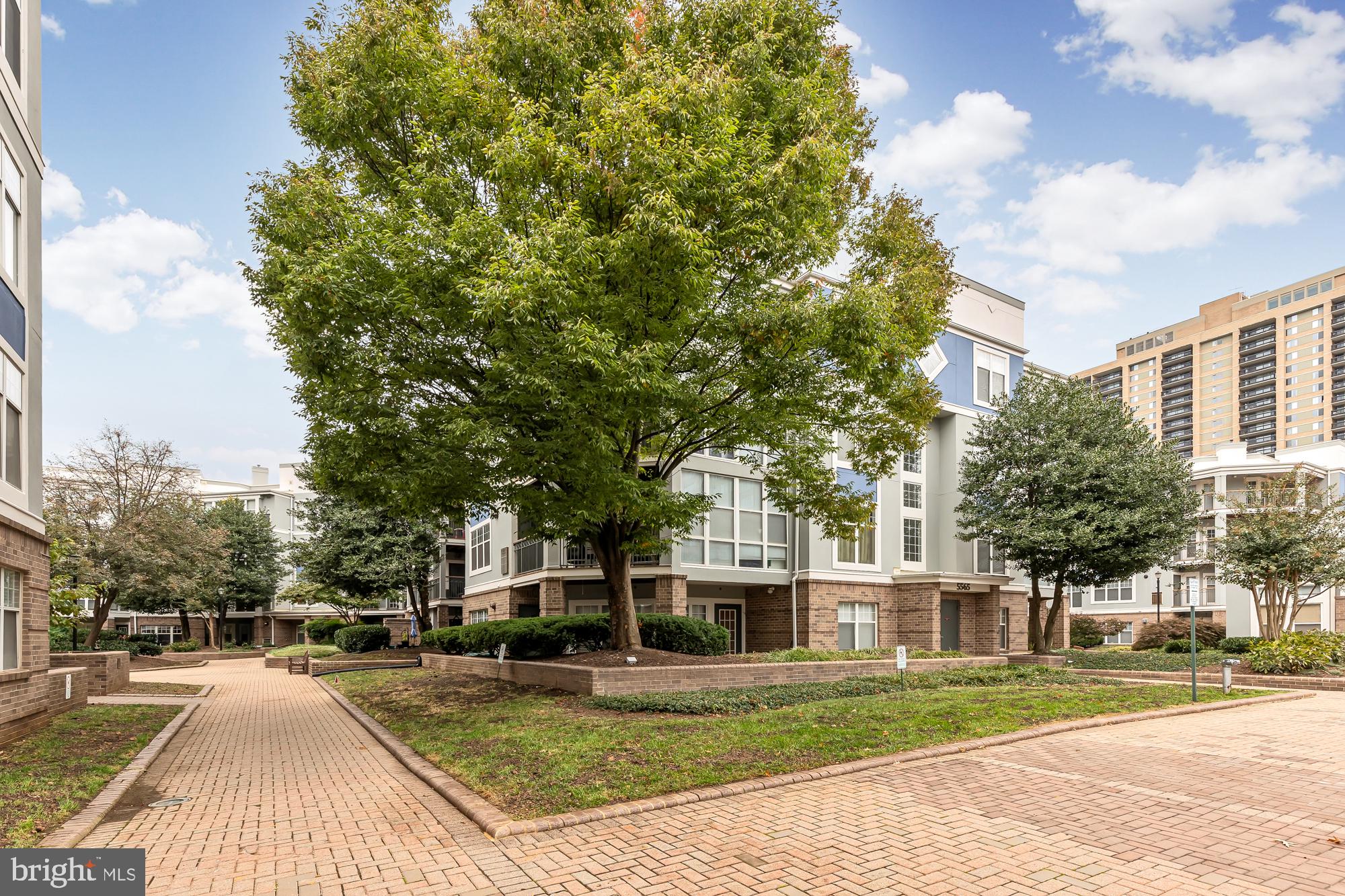 5565 Seminary ROAD Unit: 203