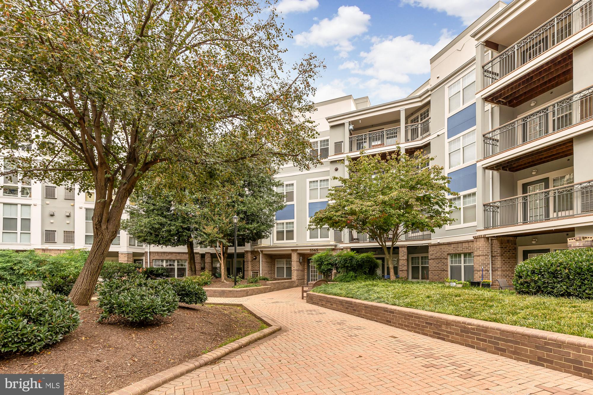 5565 Seminary ROAD Unit: 203