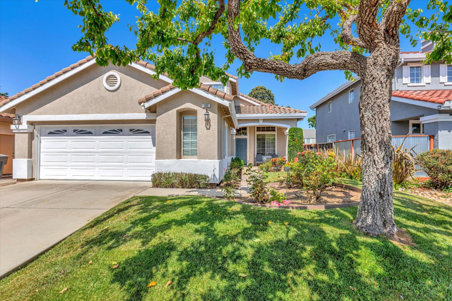 305 Rhine CT