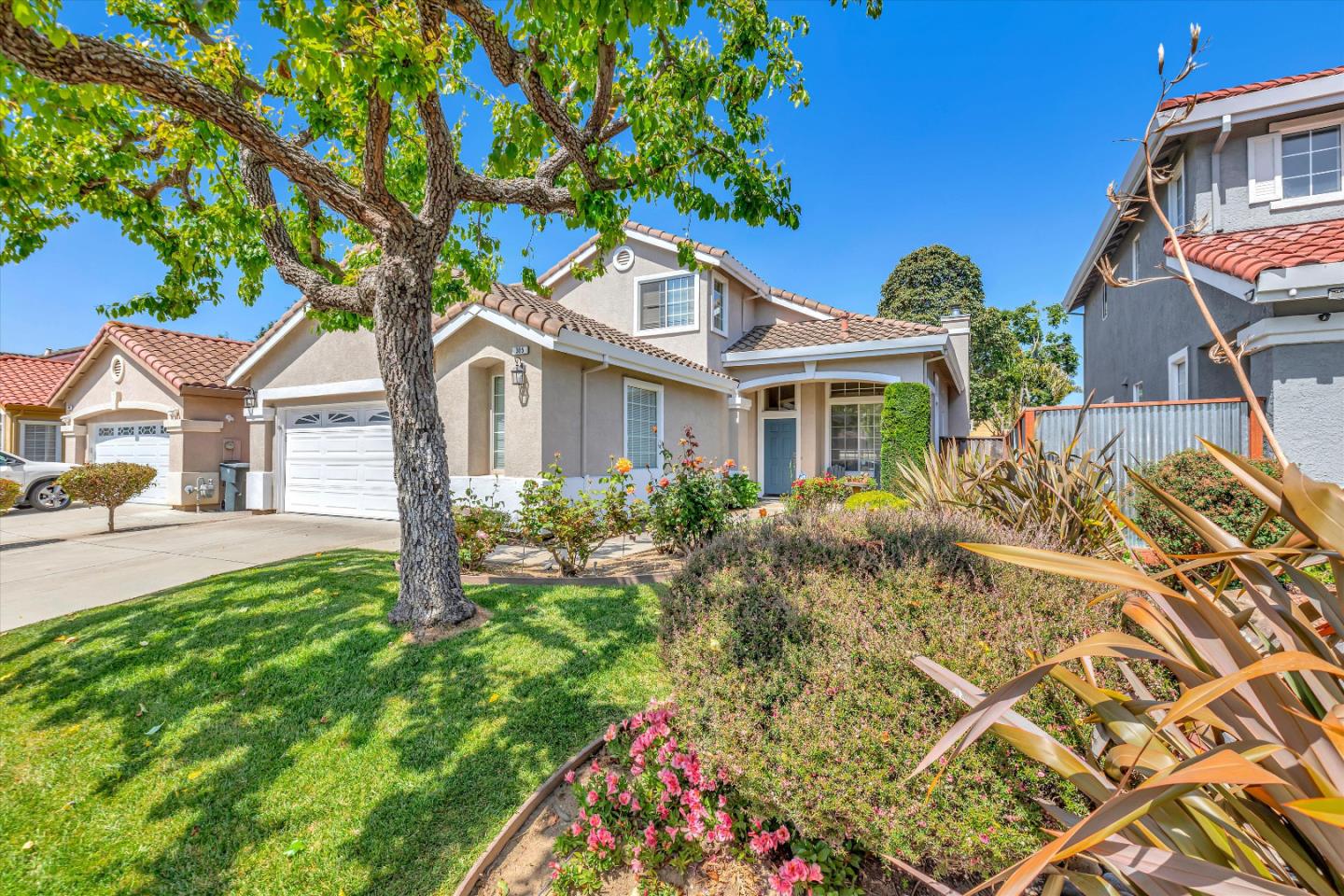 305 Rhine CT