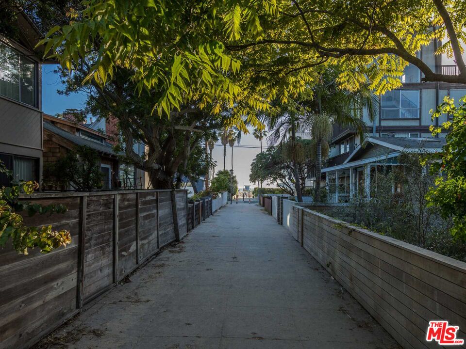 Pedestrian walkway between homes beneath a leafy tree, with palm trees in the distance.