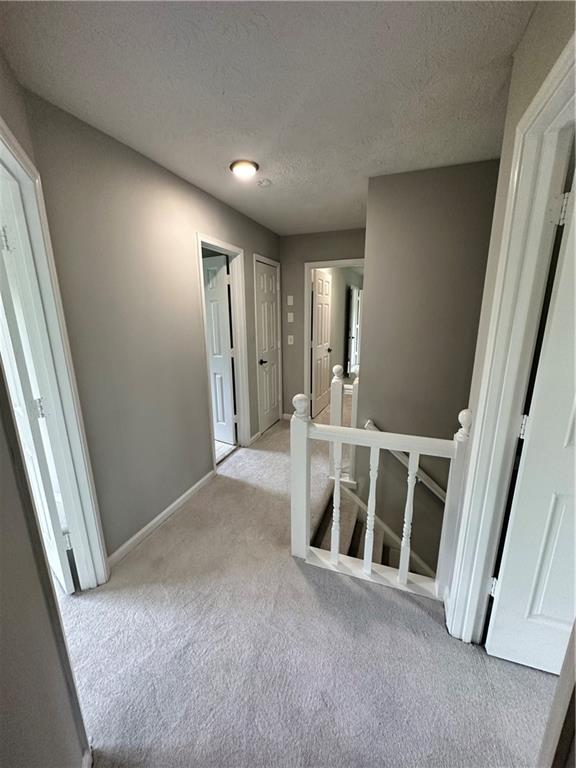 2321 Chestnut Springs Trail