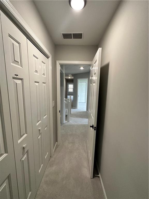 2321 Chestnut Springs Trail