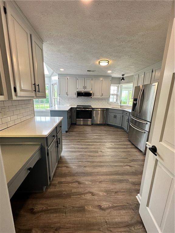2321 Chestnut Springs Trail