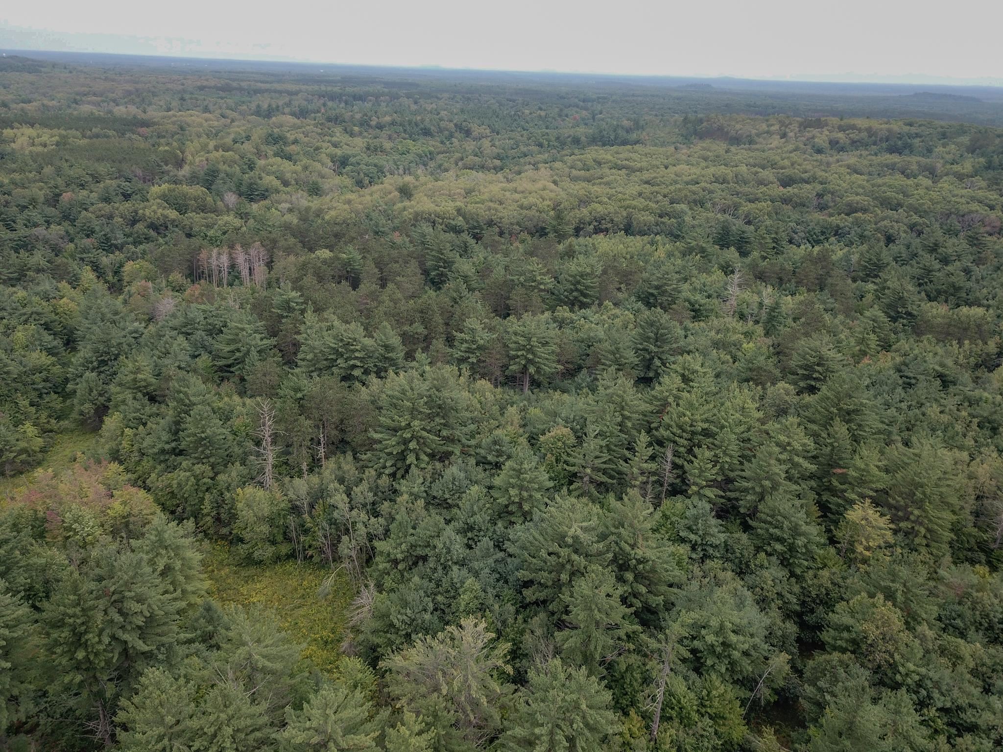 120.00AC Juneau Woods Road