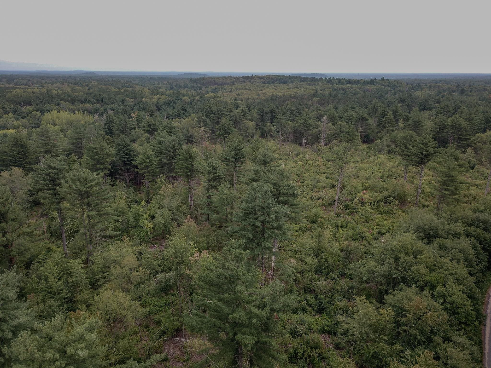 120.00AC Juneau Woods Road