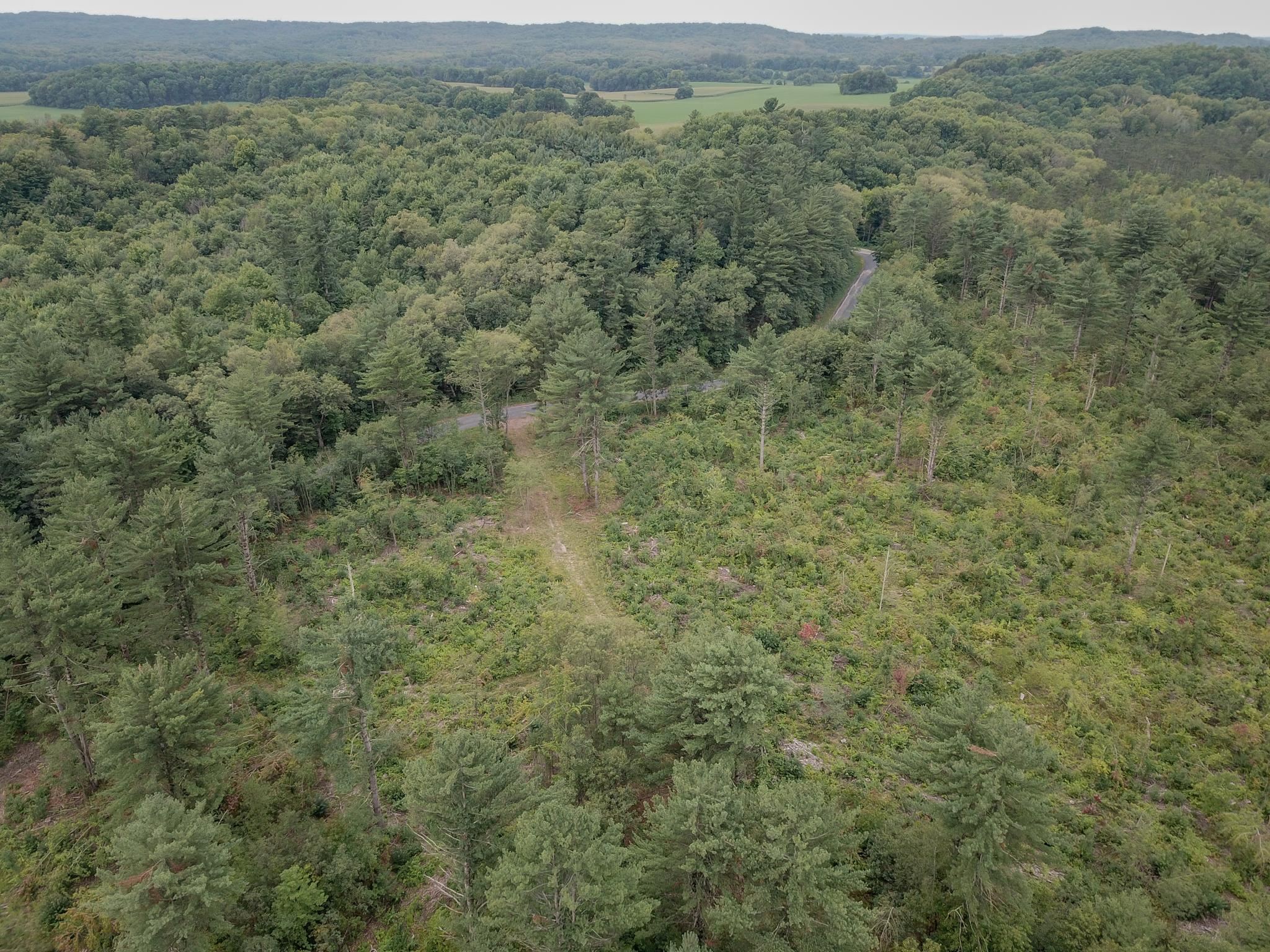 120.00AC Juneau Woods Road