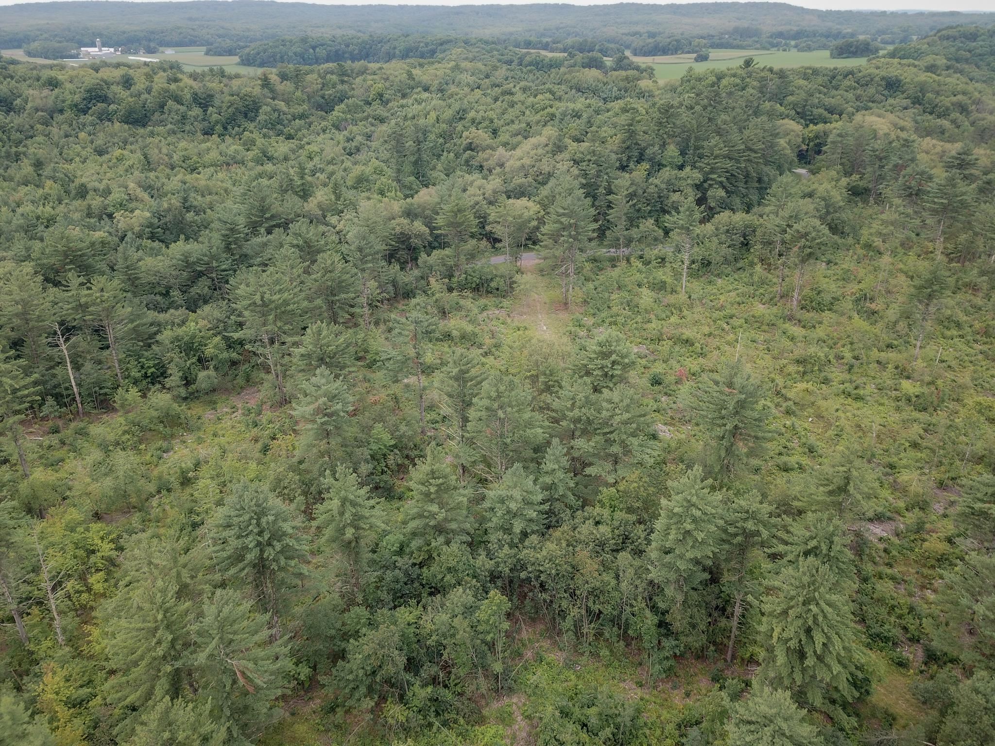 120.00AC Juneau Woods Road