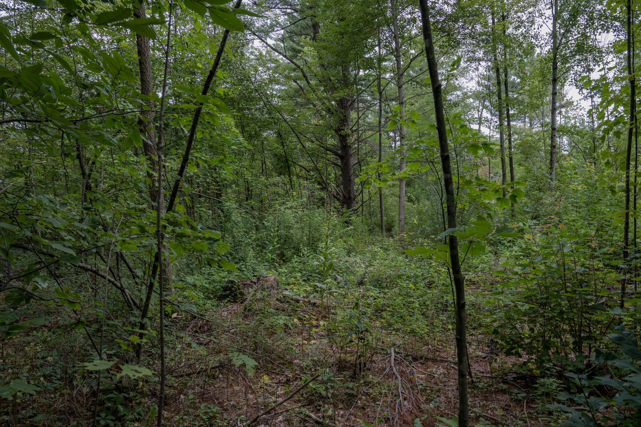 120.00AC Juneau Woods Road