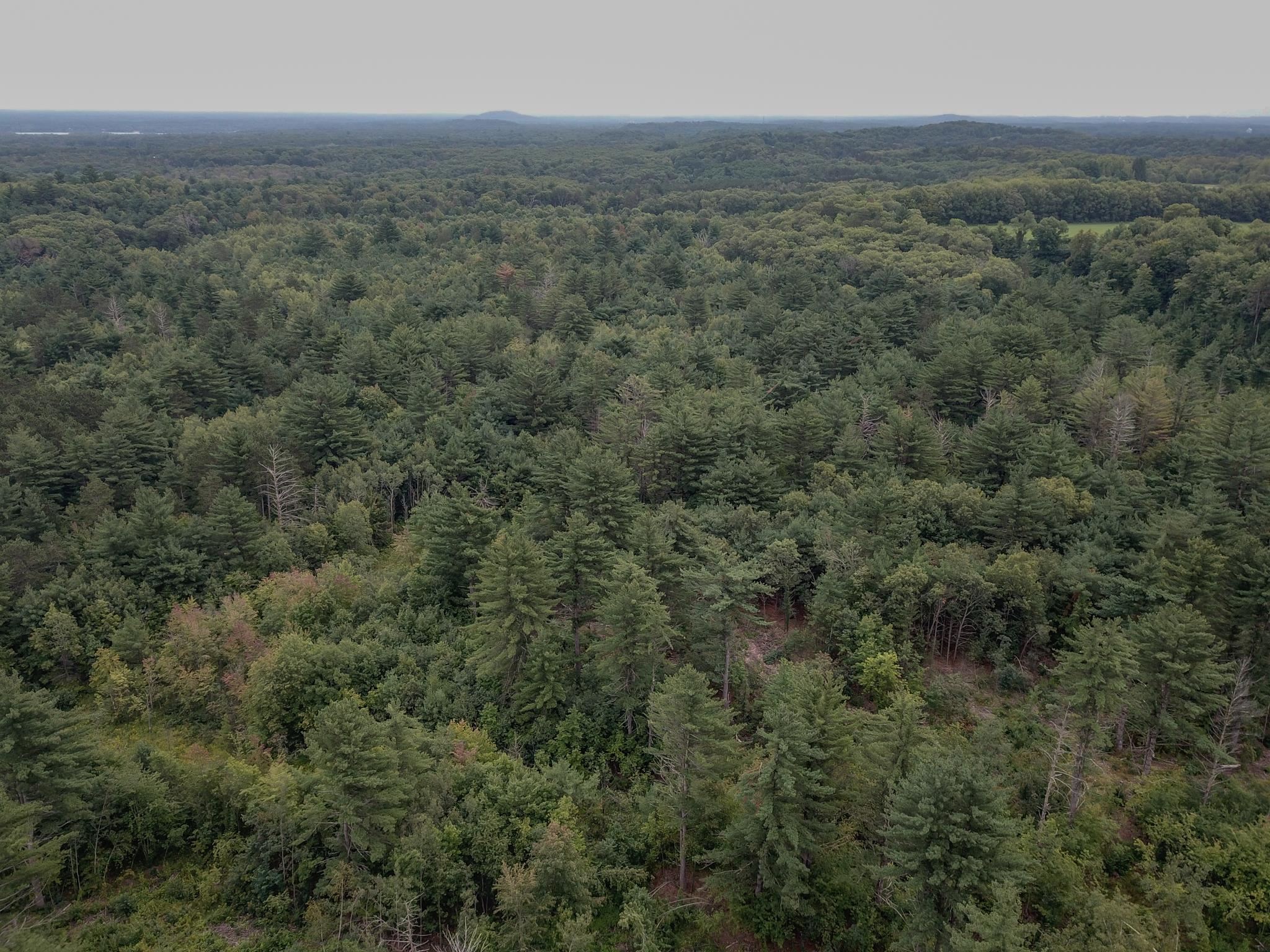 120.00AC Juneau Woods Road