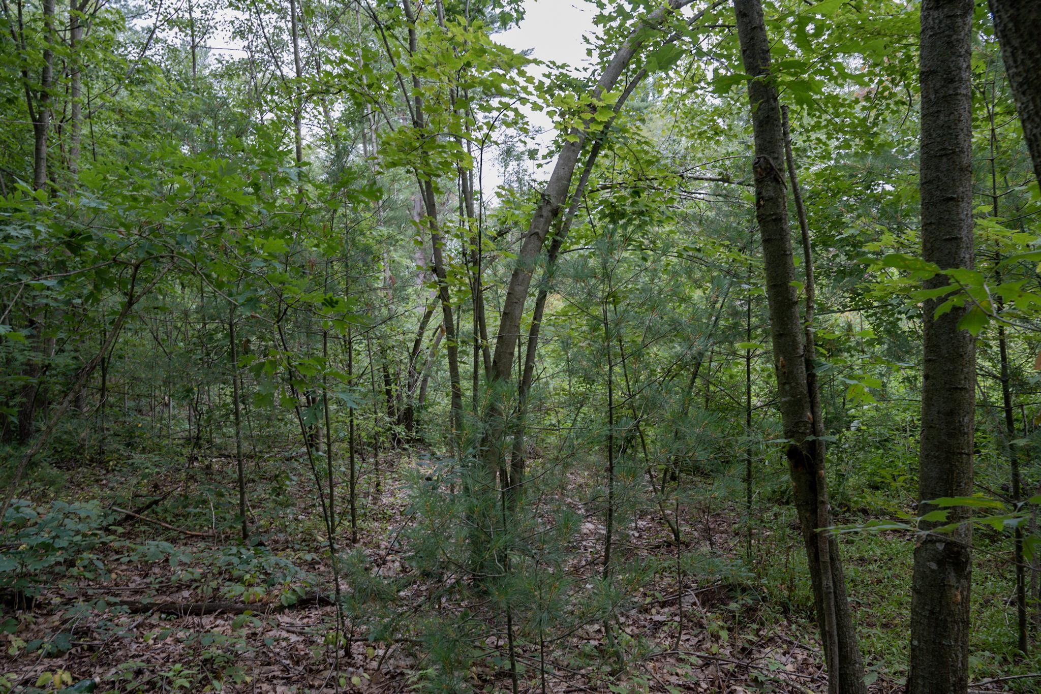 120.00AC Juneau Woods Road