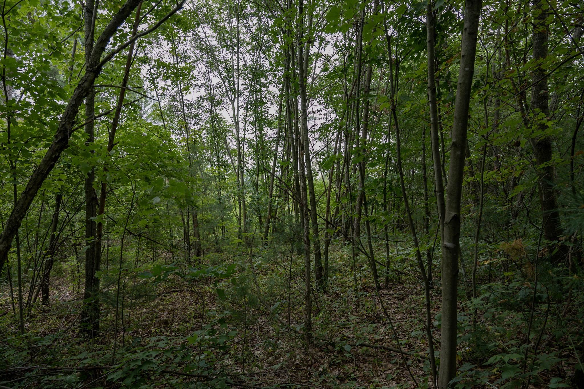 120.00AC Juneau Woods Road