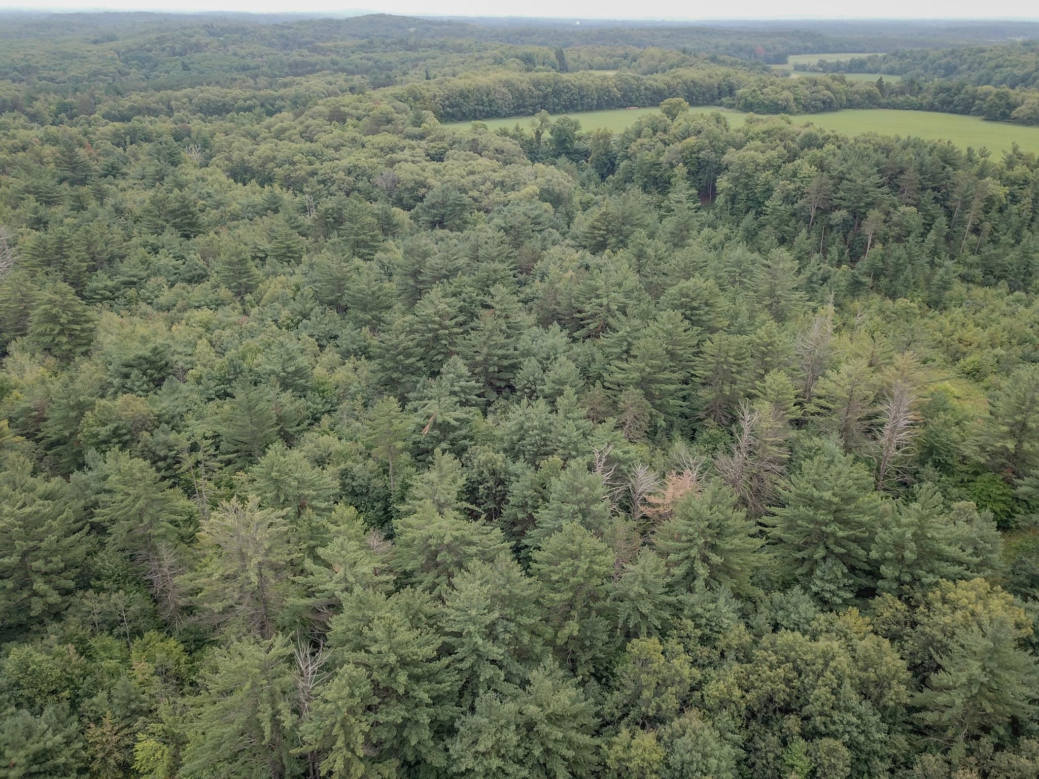 120.00AC Juneau Woods Road