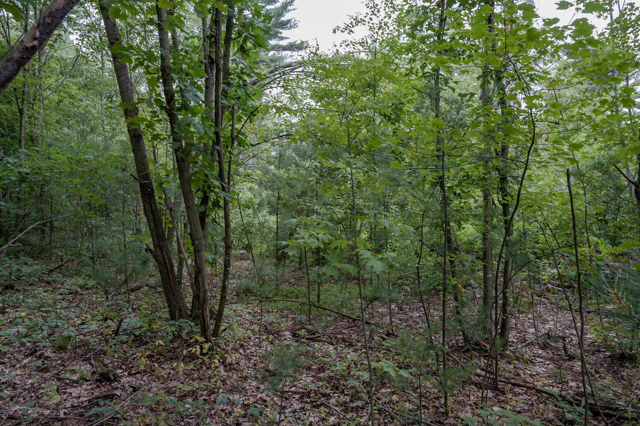 120.00AC Juneau Woods Road