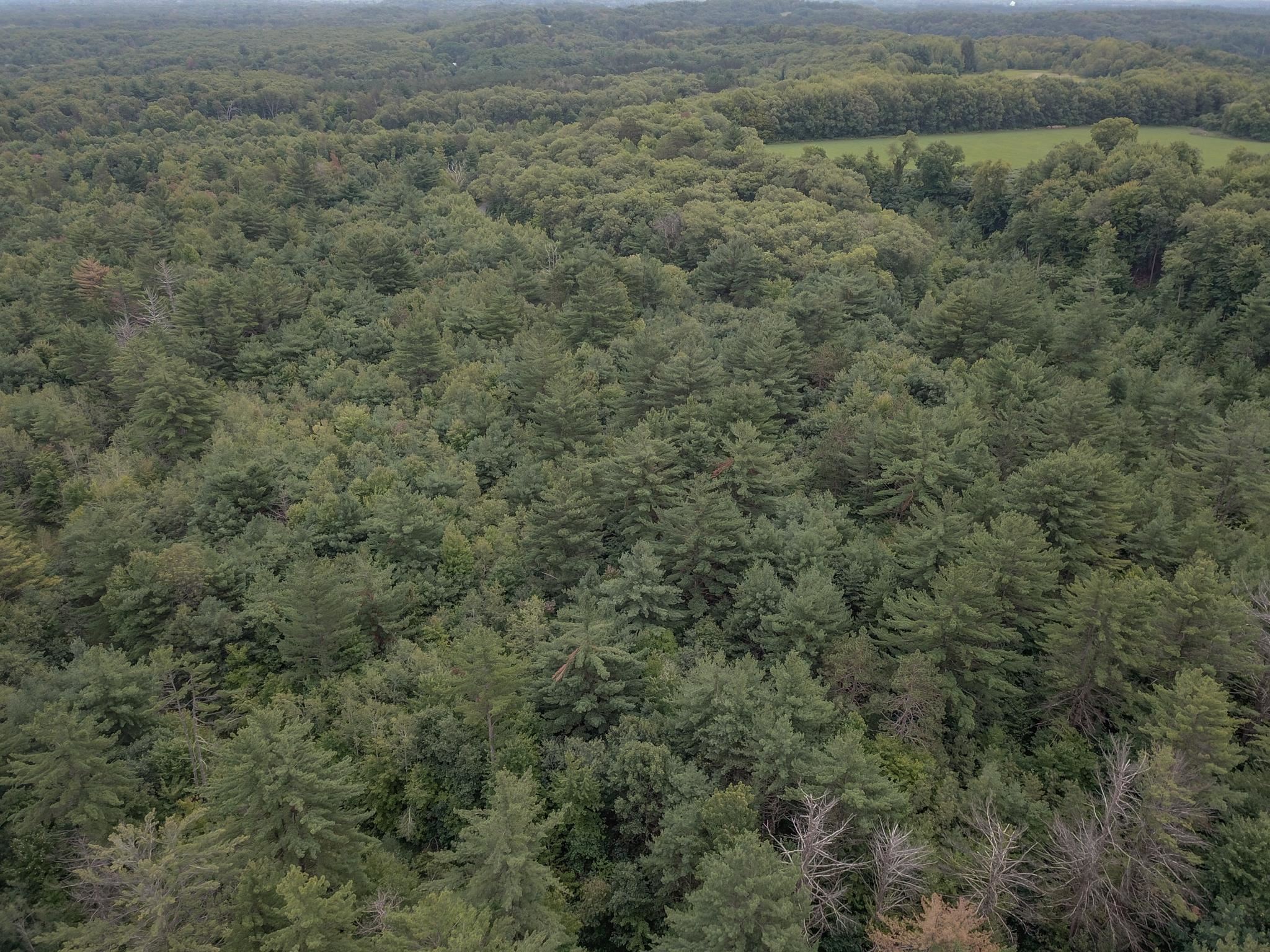 120.00AC Juneau Woods Road