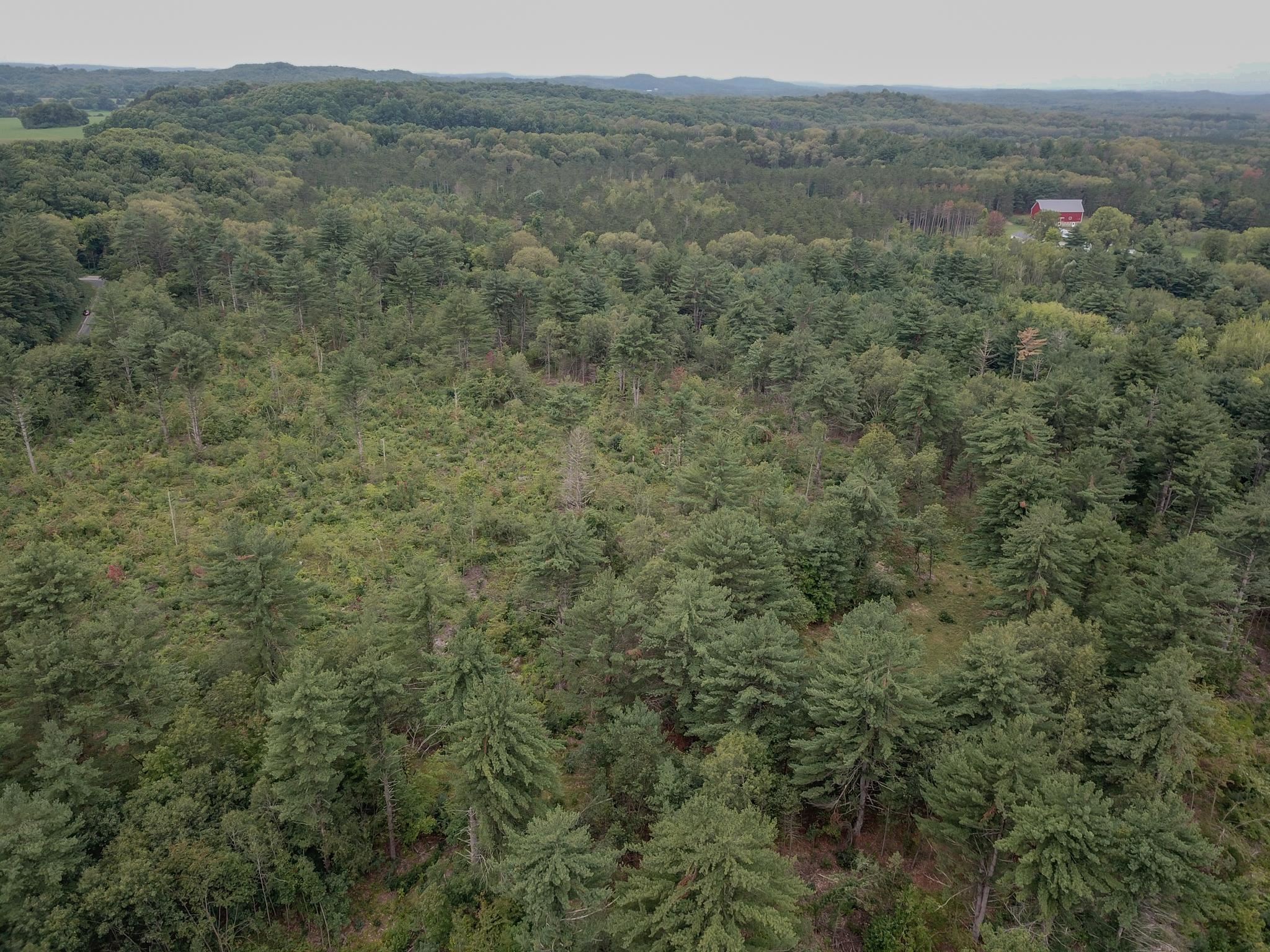 120.00AC Juneau Woods Road