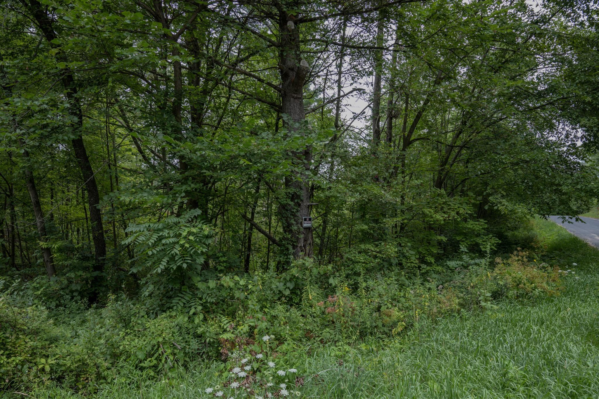 120.00AC Juneau Woods Road