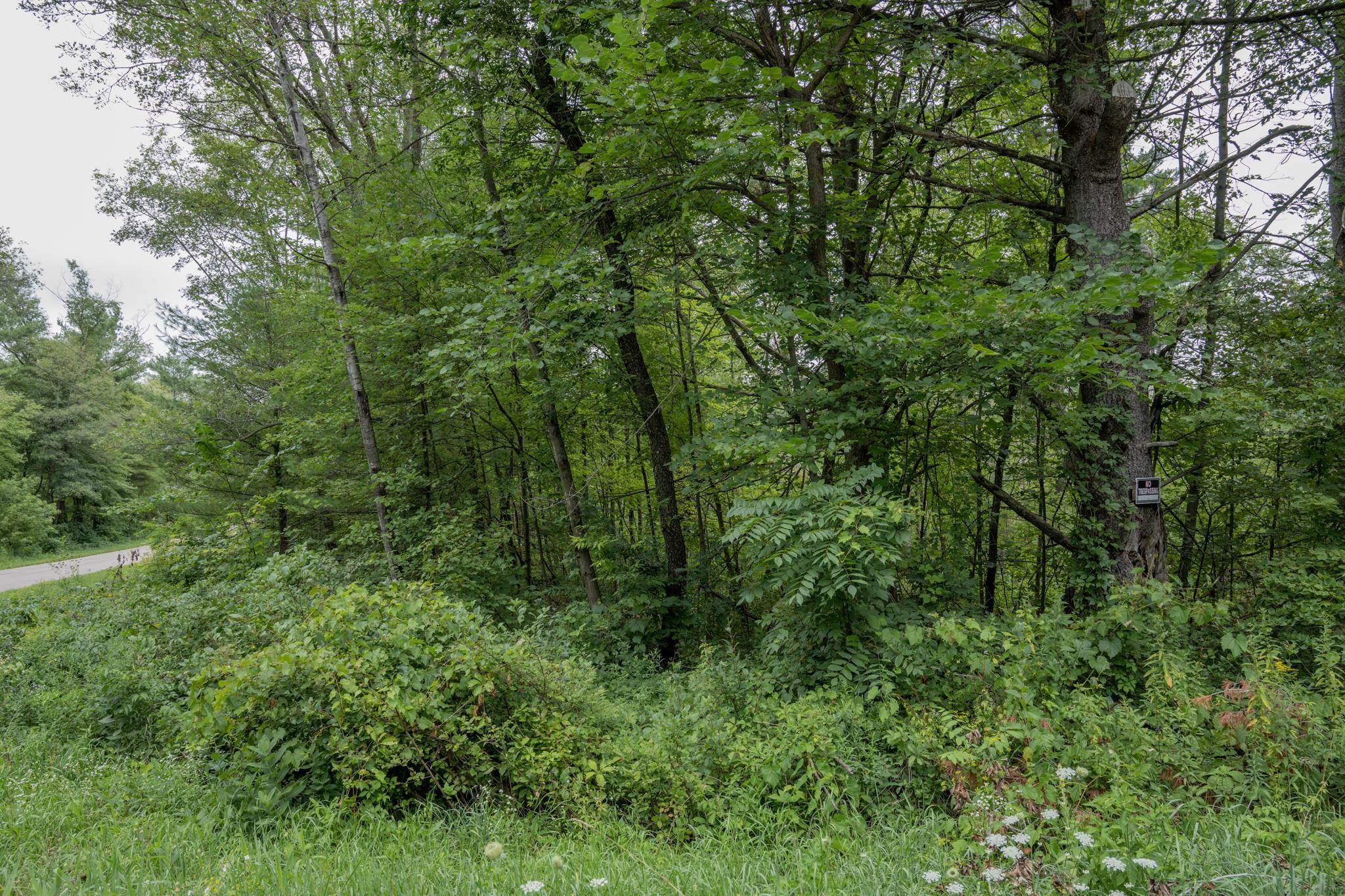 120.00AC Juneau Woods Road