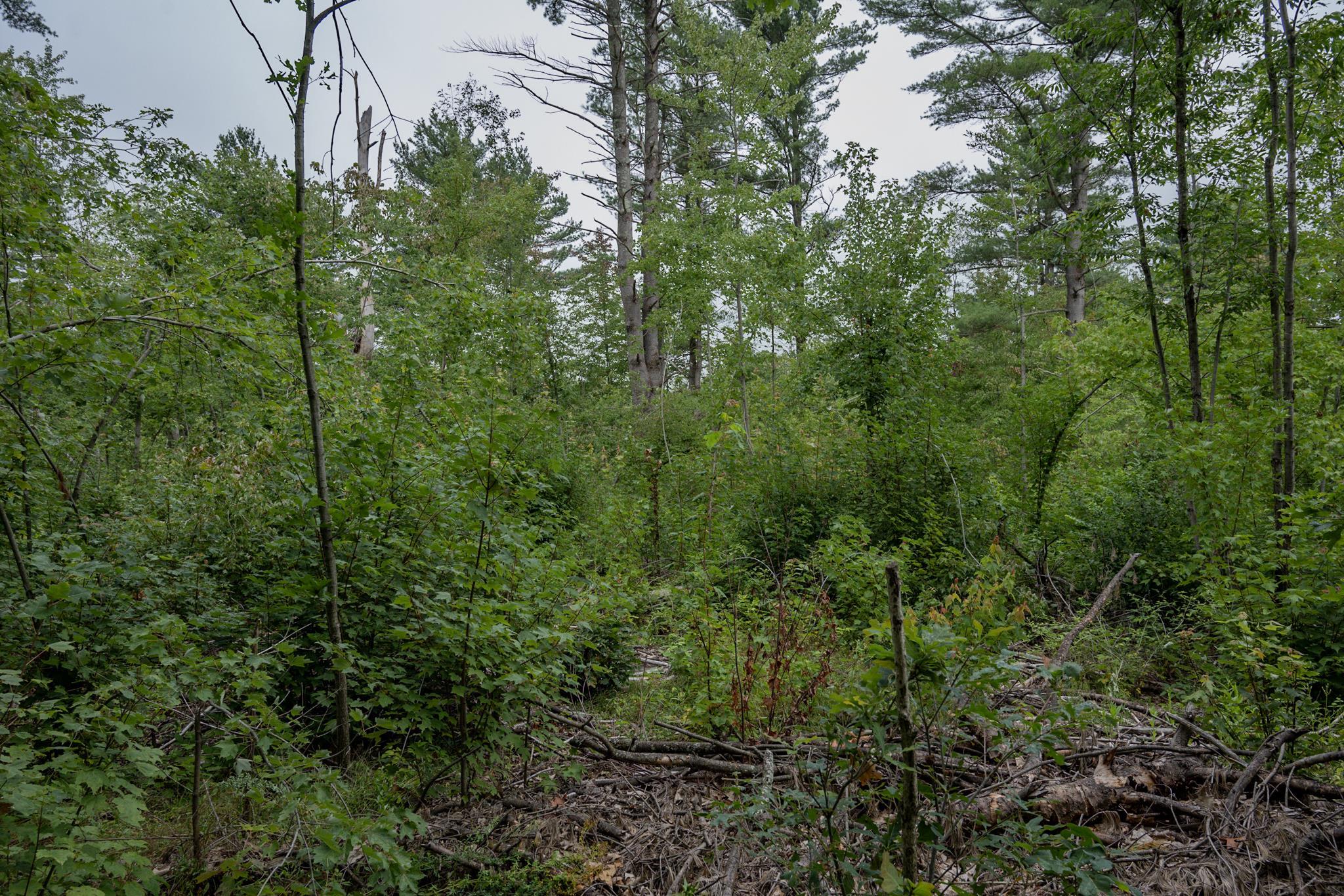 120.00AC Juneau Woods Road