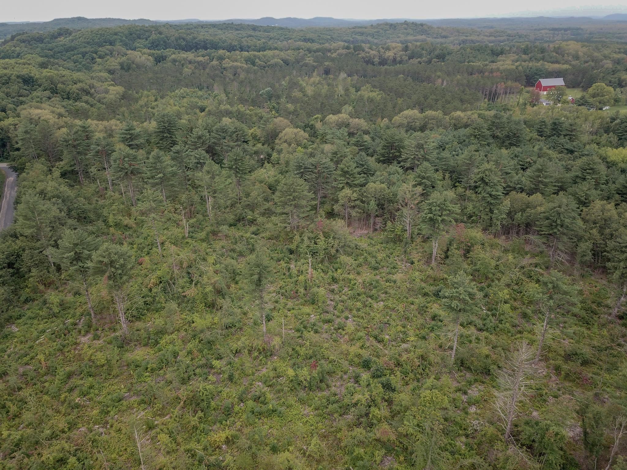 120.00AC Juneau Woods Road