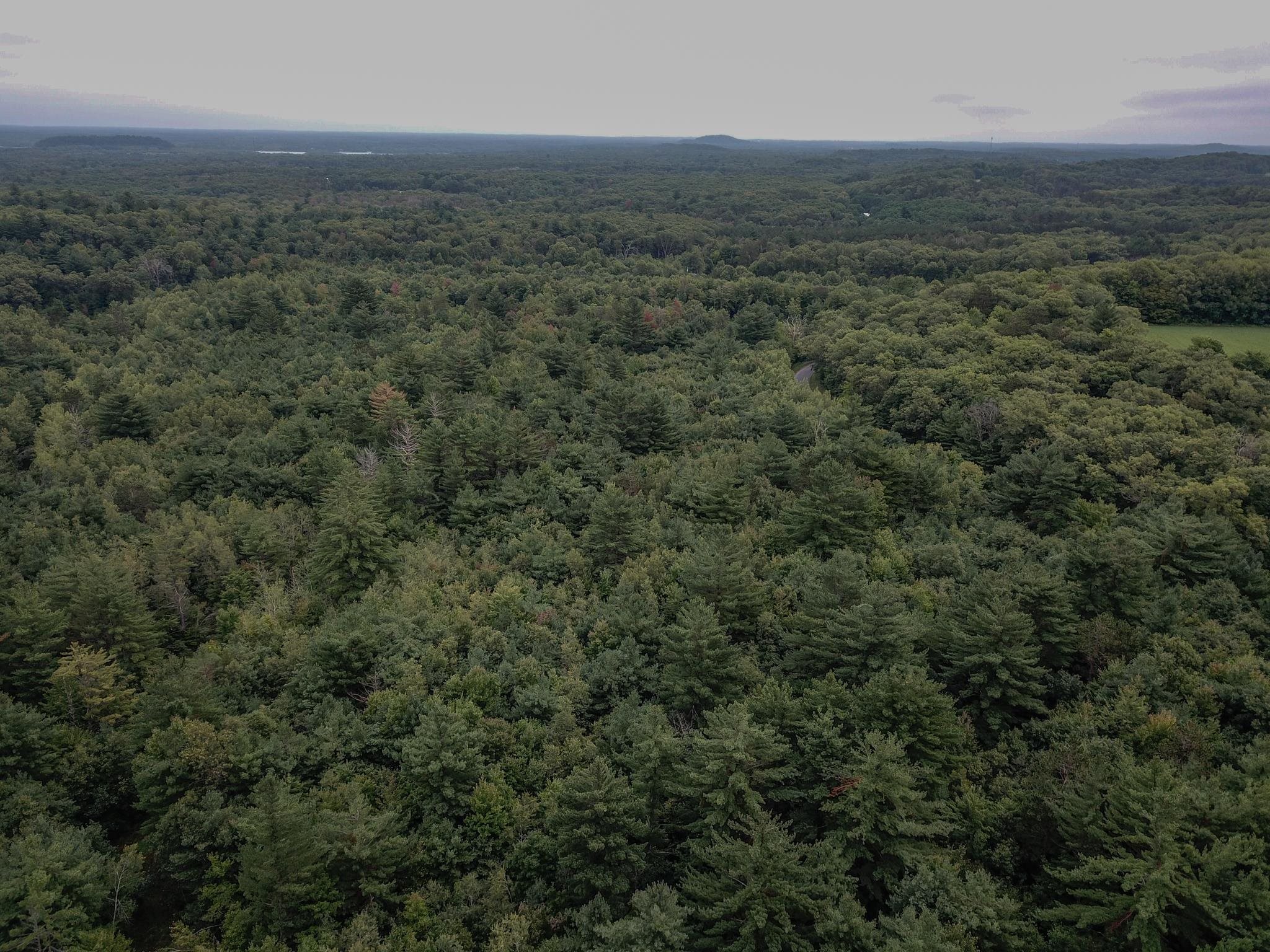 120.00AC Juneau Woods Road
