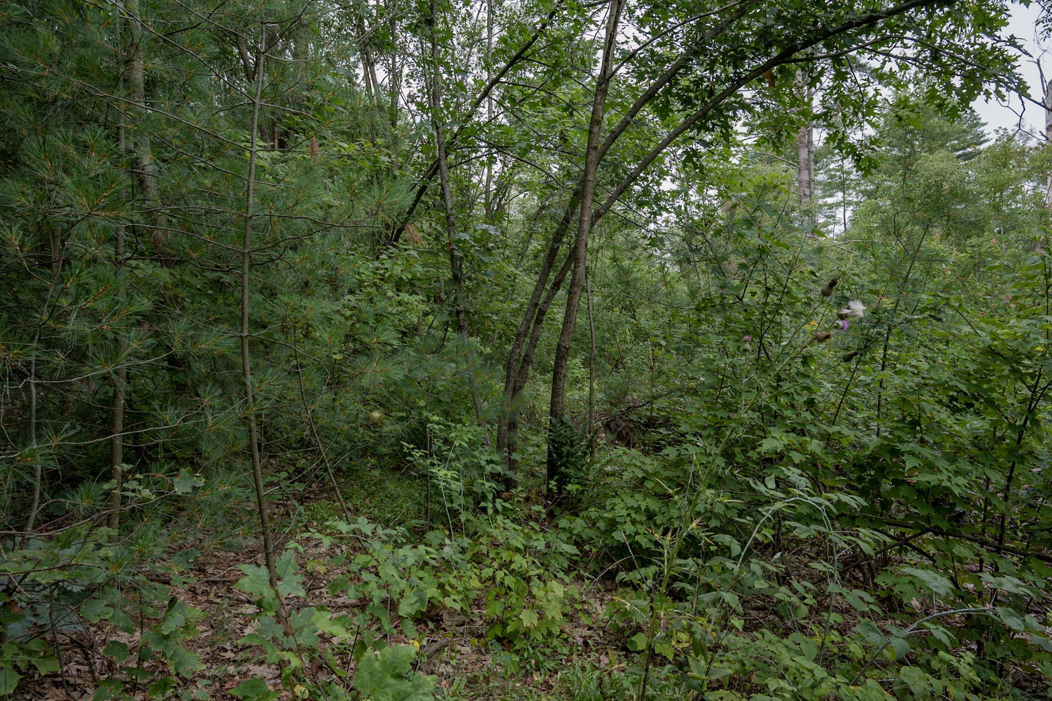 120.00AC Juneau Woods Road
