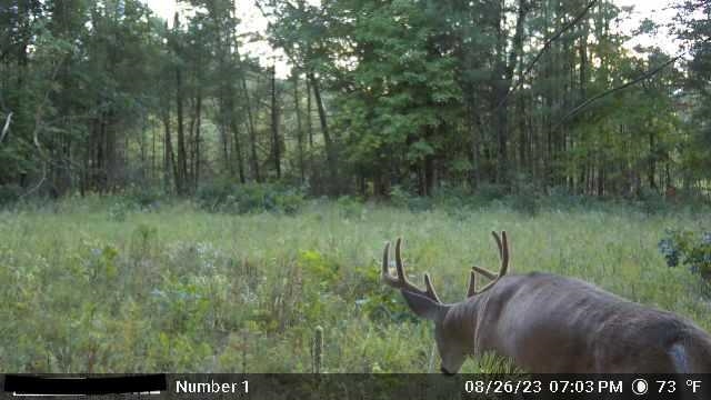 120.00AC Juneau Woods Road