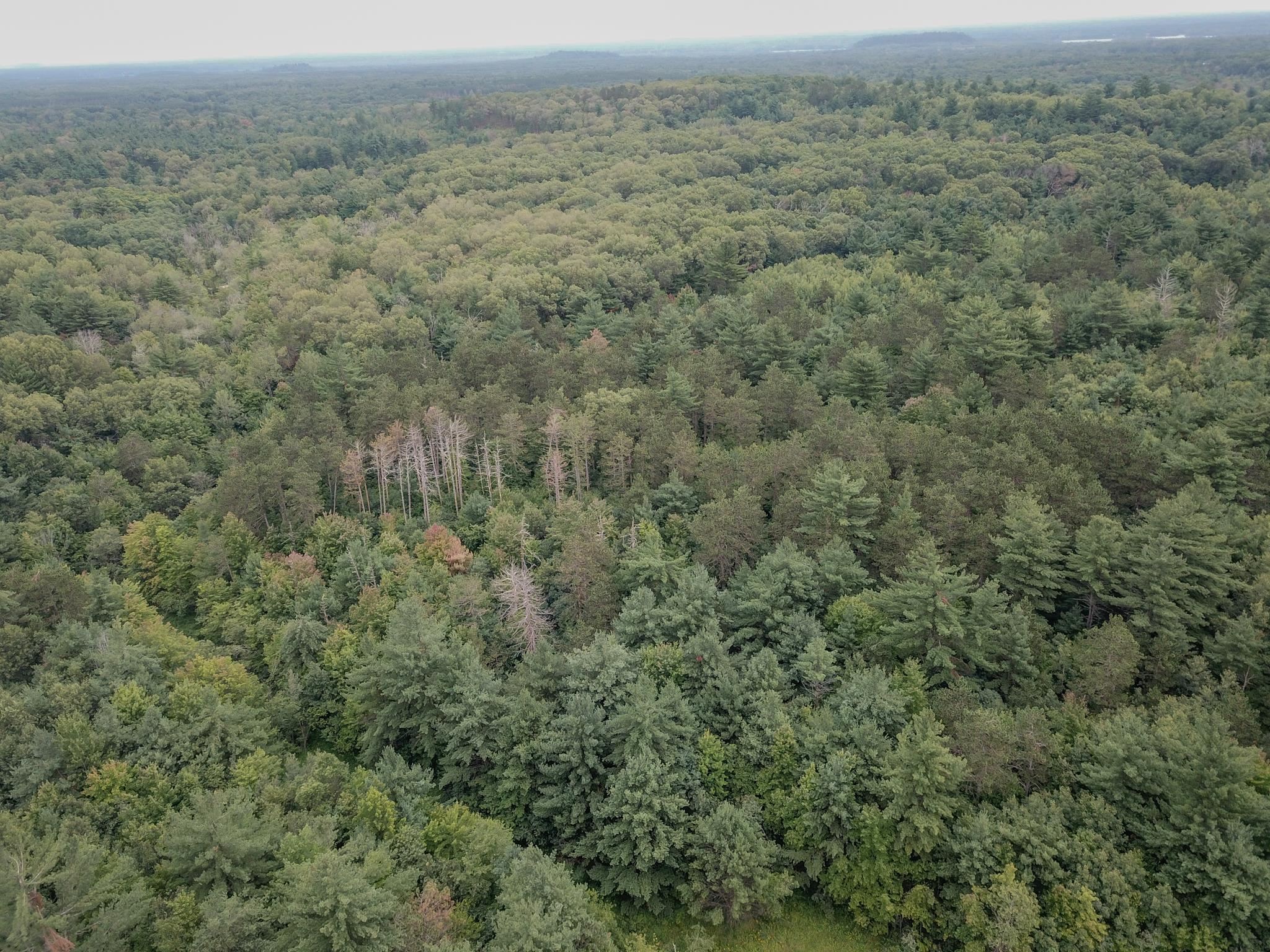 120.00AC Juneau Woods Road