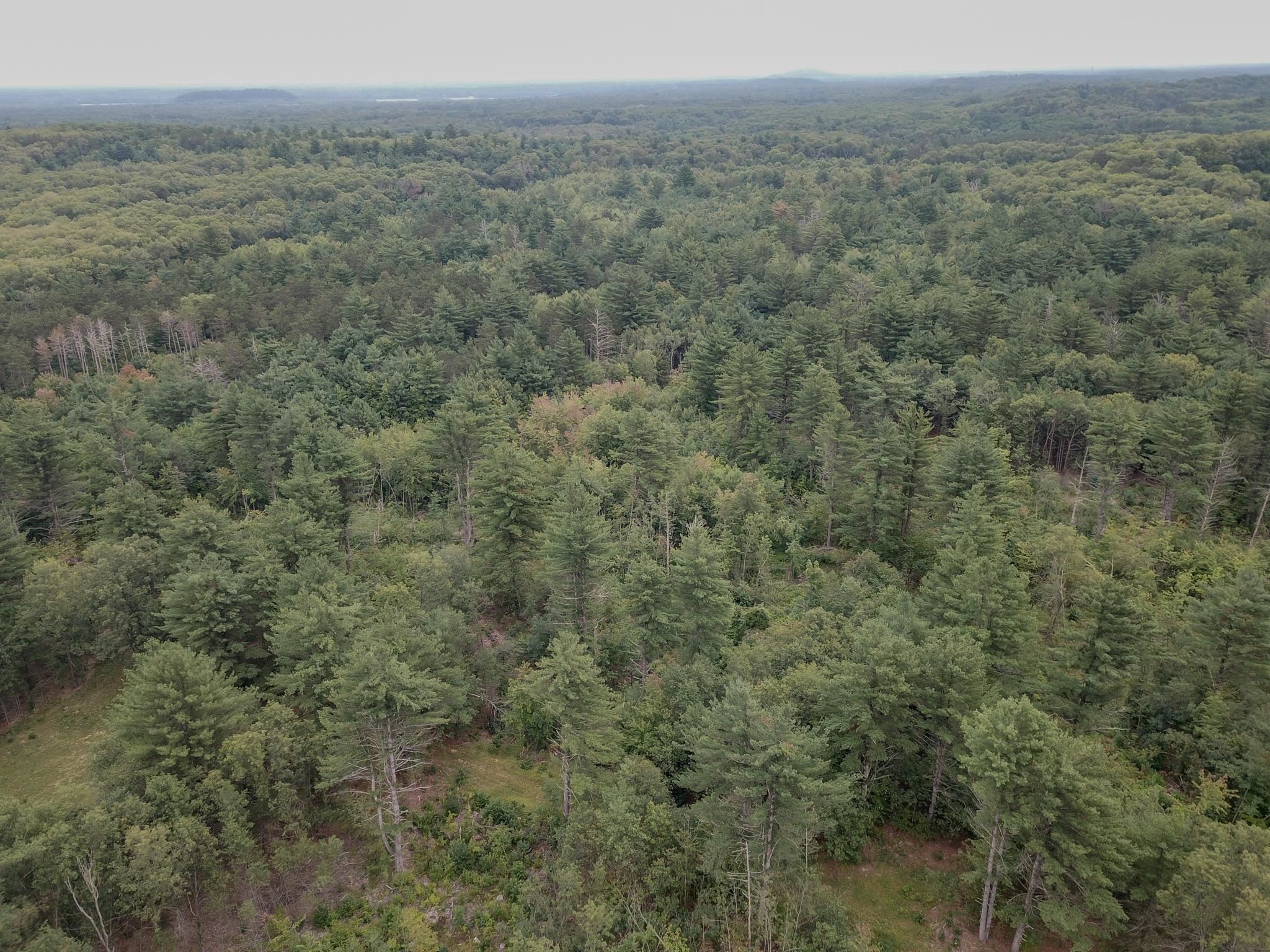 120.00AC Juneau Woods Road