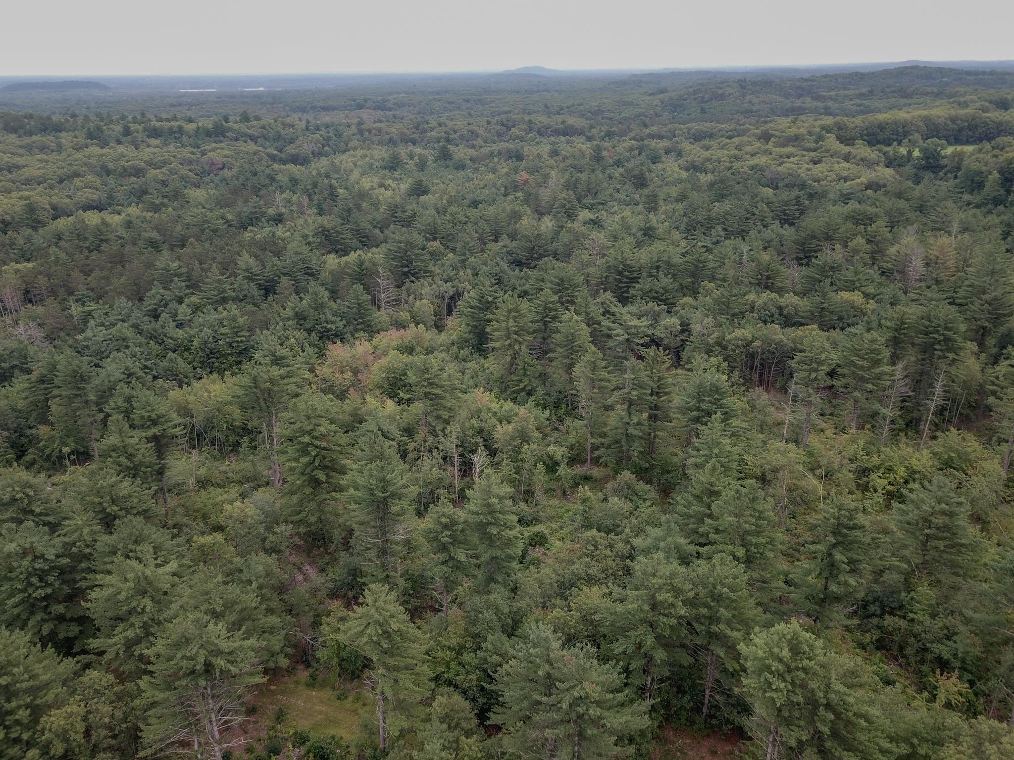 120.00AC Juneau Woods Road