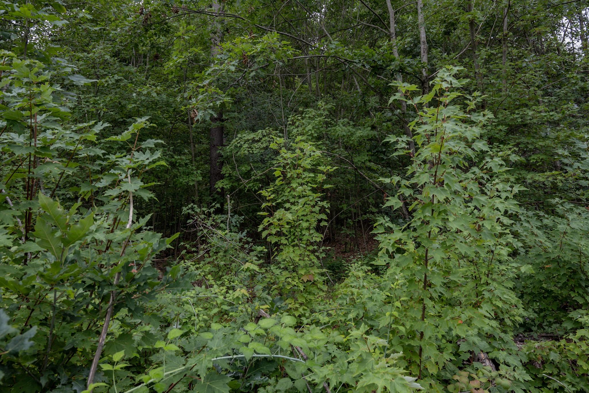 120.00AC Juneau Woods Road