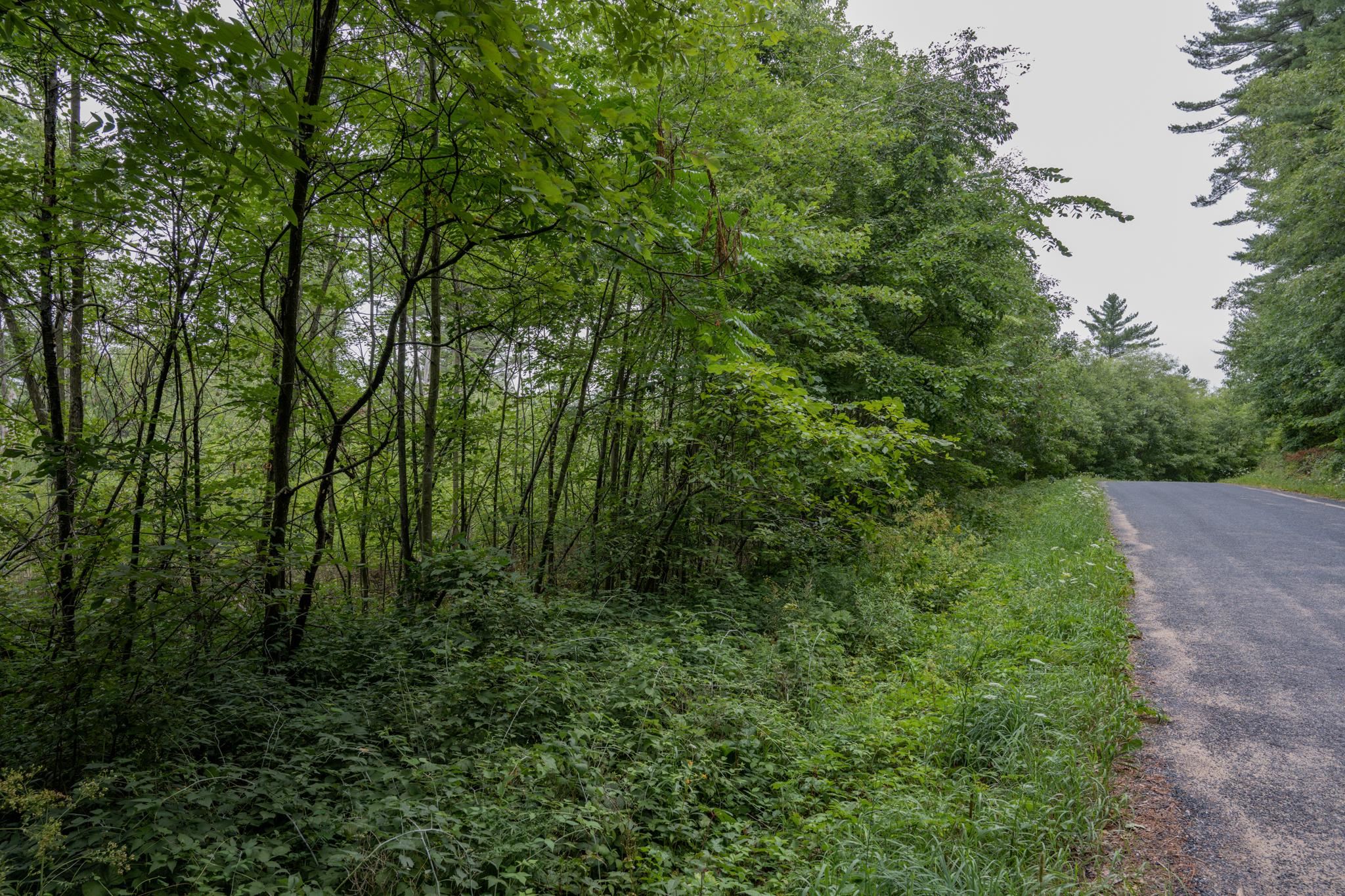 120.00AC Juneau Woods Road